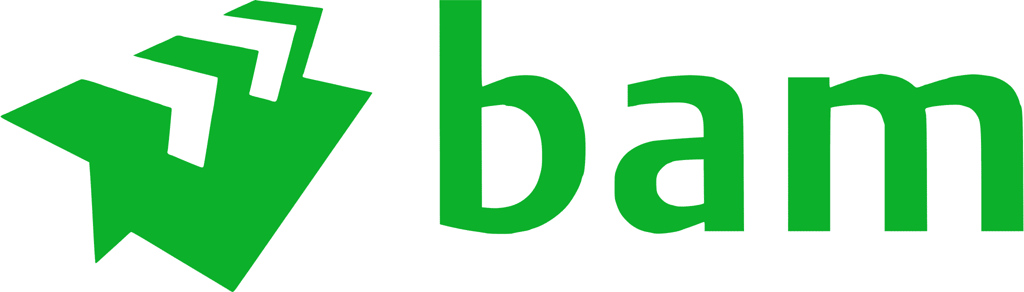 BAM-logo