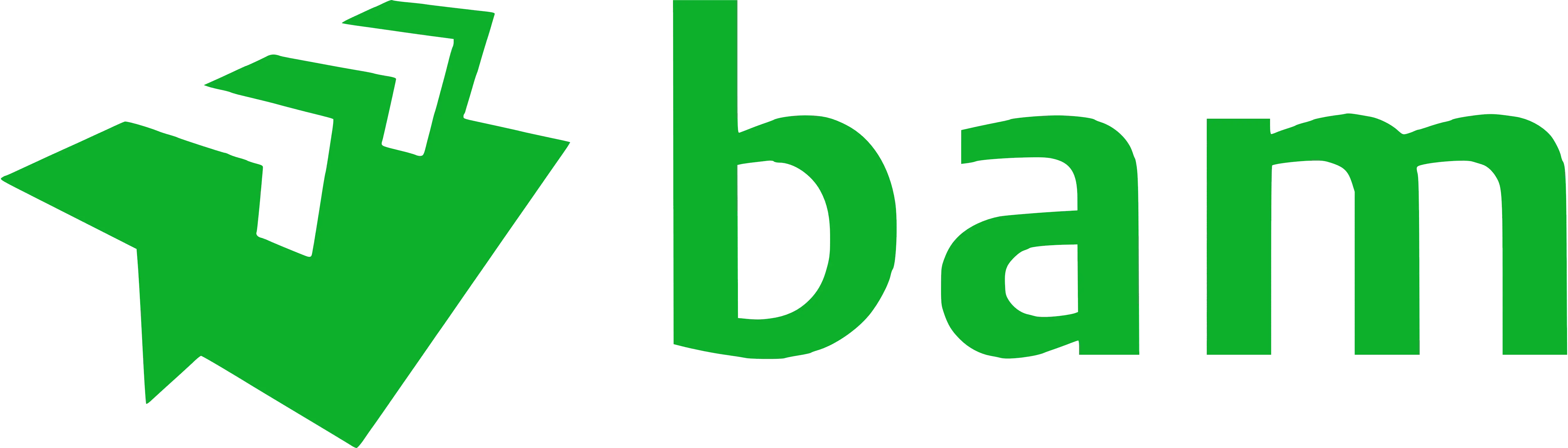 BAM logo