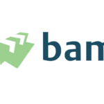 BAM logo